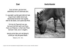 Esel-Hey.pdf